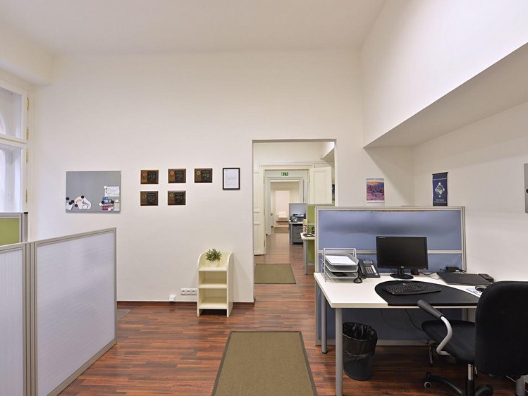 Pronájem komerčního prostoru, 228 m² (10 z 14)