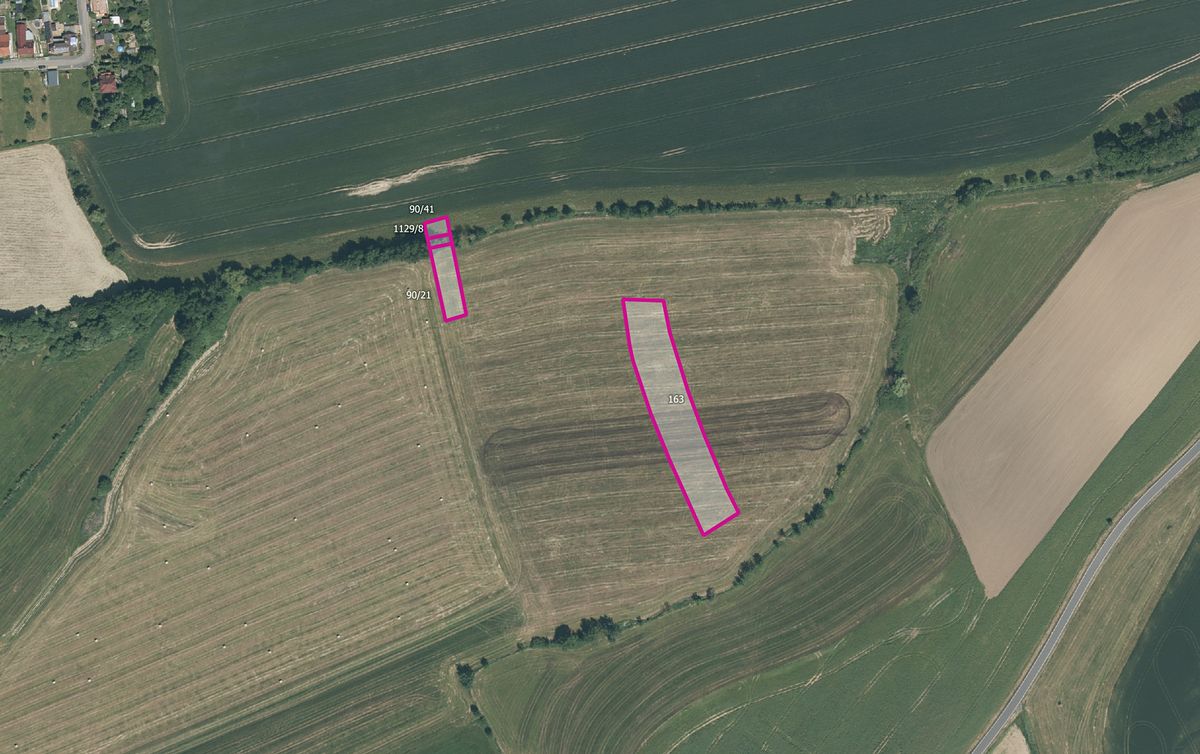 Prodej pole 6631 m², Dnešice – fotka 1 z 3