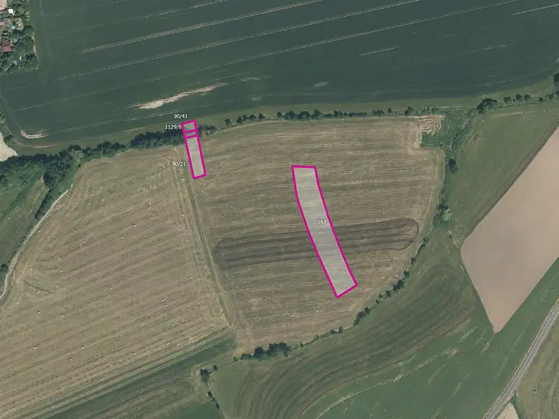 Prodej pole 6631 m², Dnešice – náhled fotky 1