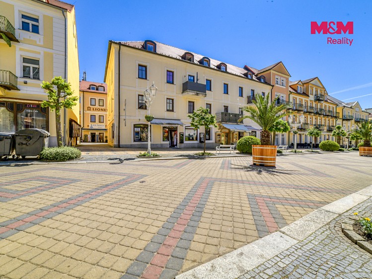 Pronájem bytu 3+1, 81 m² (11 z 24)