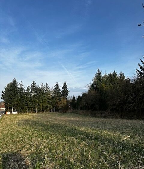 Grundstück zum Kauf, 1.159 m² (5 von 10)