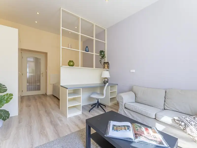 Pronájem bytu 1+1 40 m², Praha – náhled fotky 2