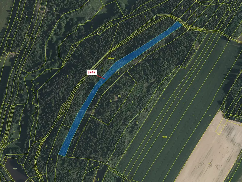 Dražba lesa 10430 m², Strmilov – náhled fotky 2
