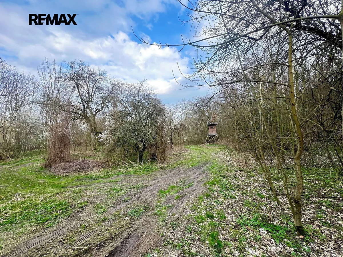 Prodej zahrady 6042 m²