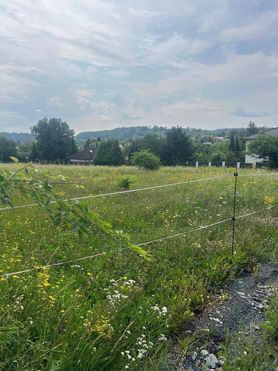 Prodej stavebního pozemku 1180 m² – fotografie 3