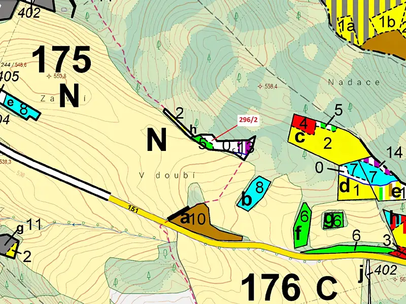 Dražba lesa 2508 m², Český Rudolec – náhled fotky 3