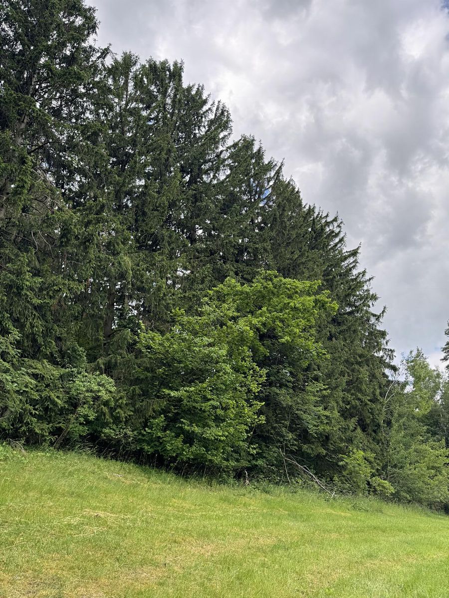 Prodej pozemku 19364 m²