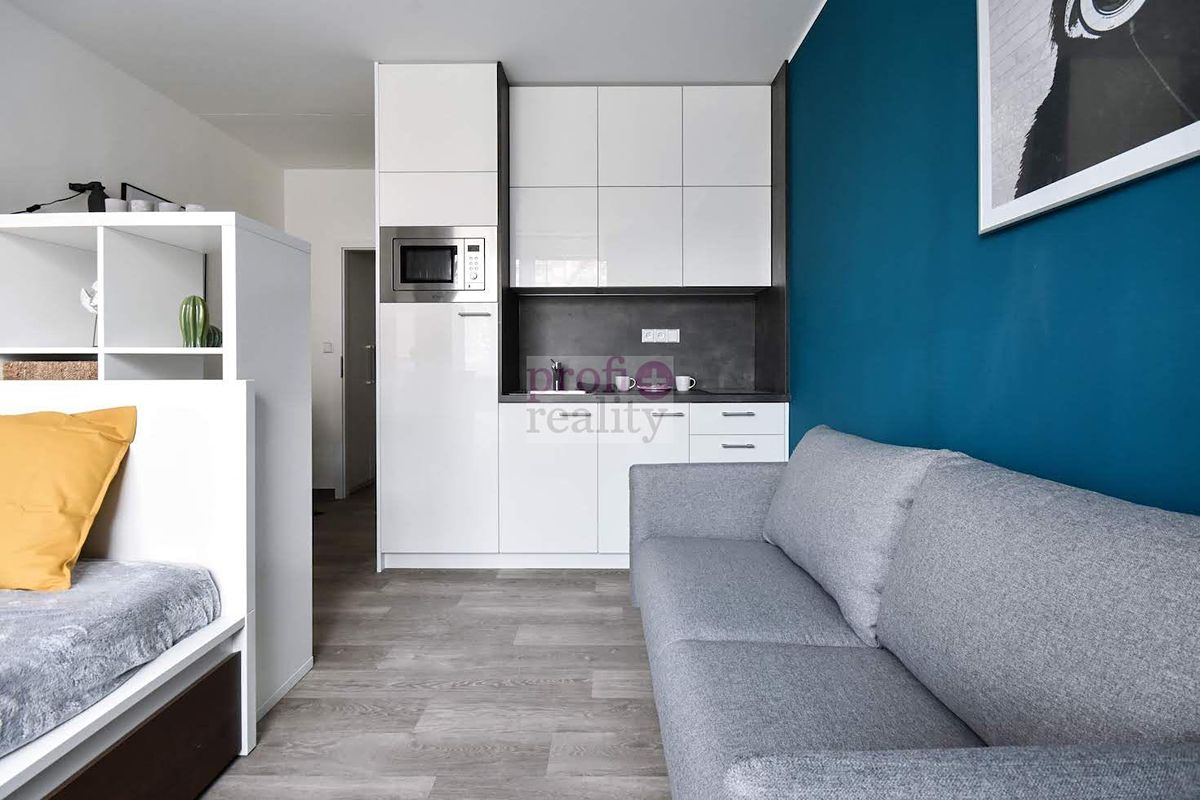 Pronájem bytu 1+kk 25 m² – fotografie 2