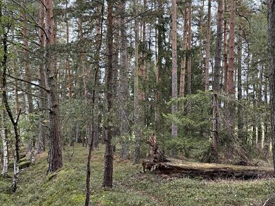 Prodej rybníku (vodní plochy) 9153 m²