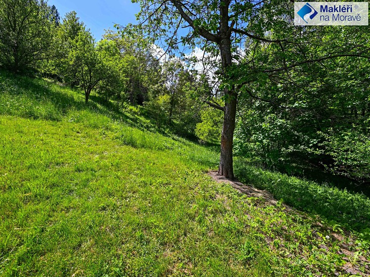 Prodej pozemku, 2 295 m² (9 z 9)