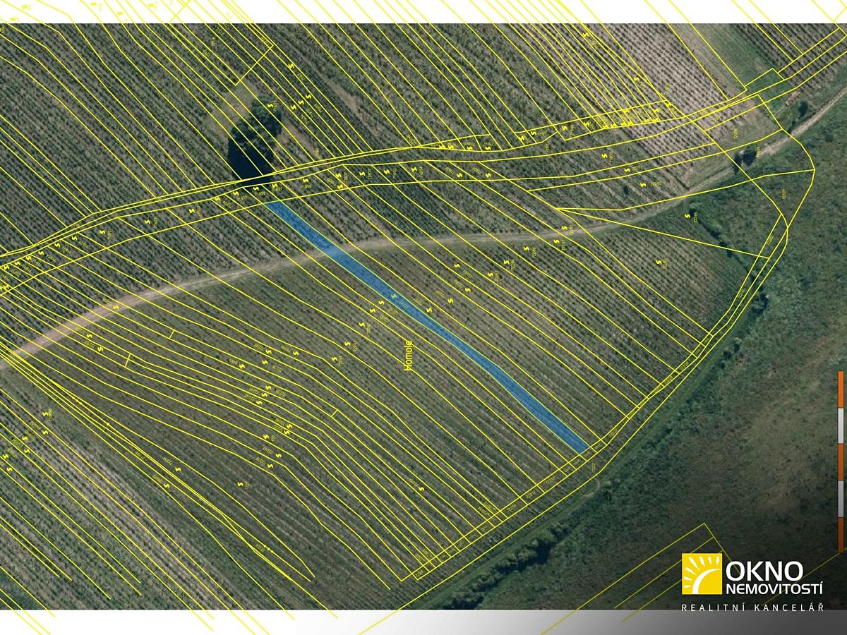 Prodej sadu, vinice 3459 m²
