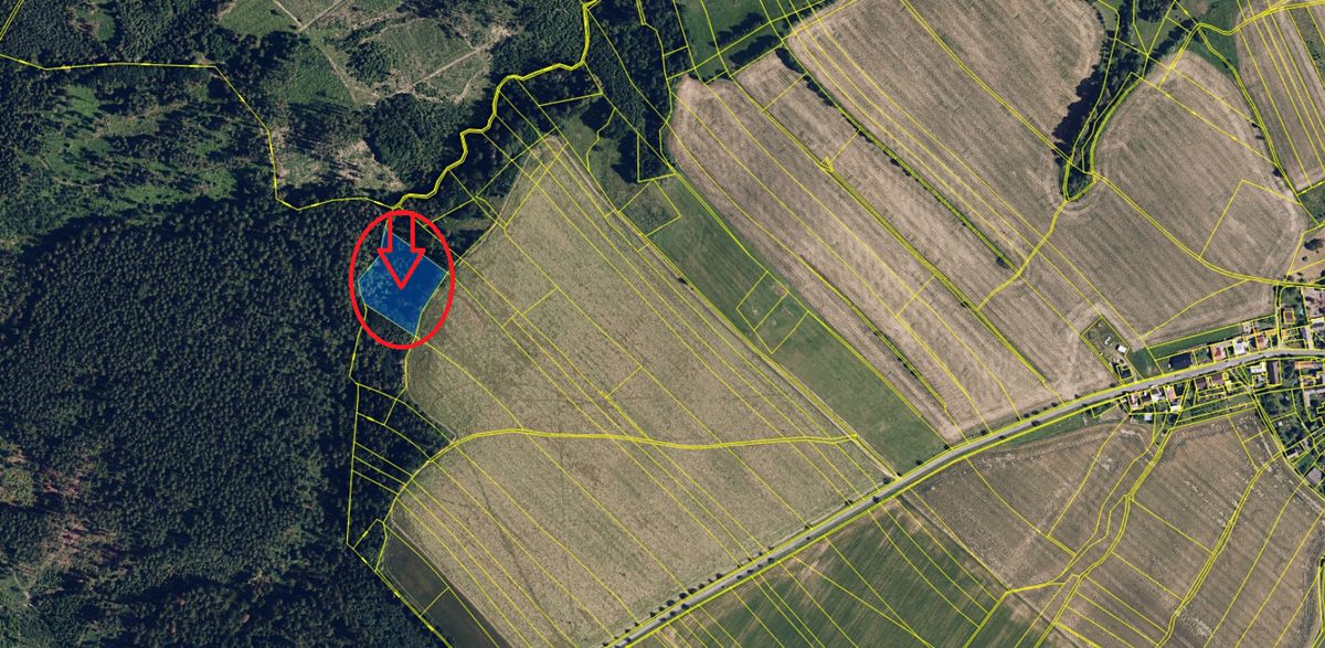 Prodej lesa 6162 m² – fotografie 2