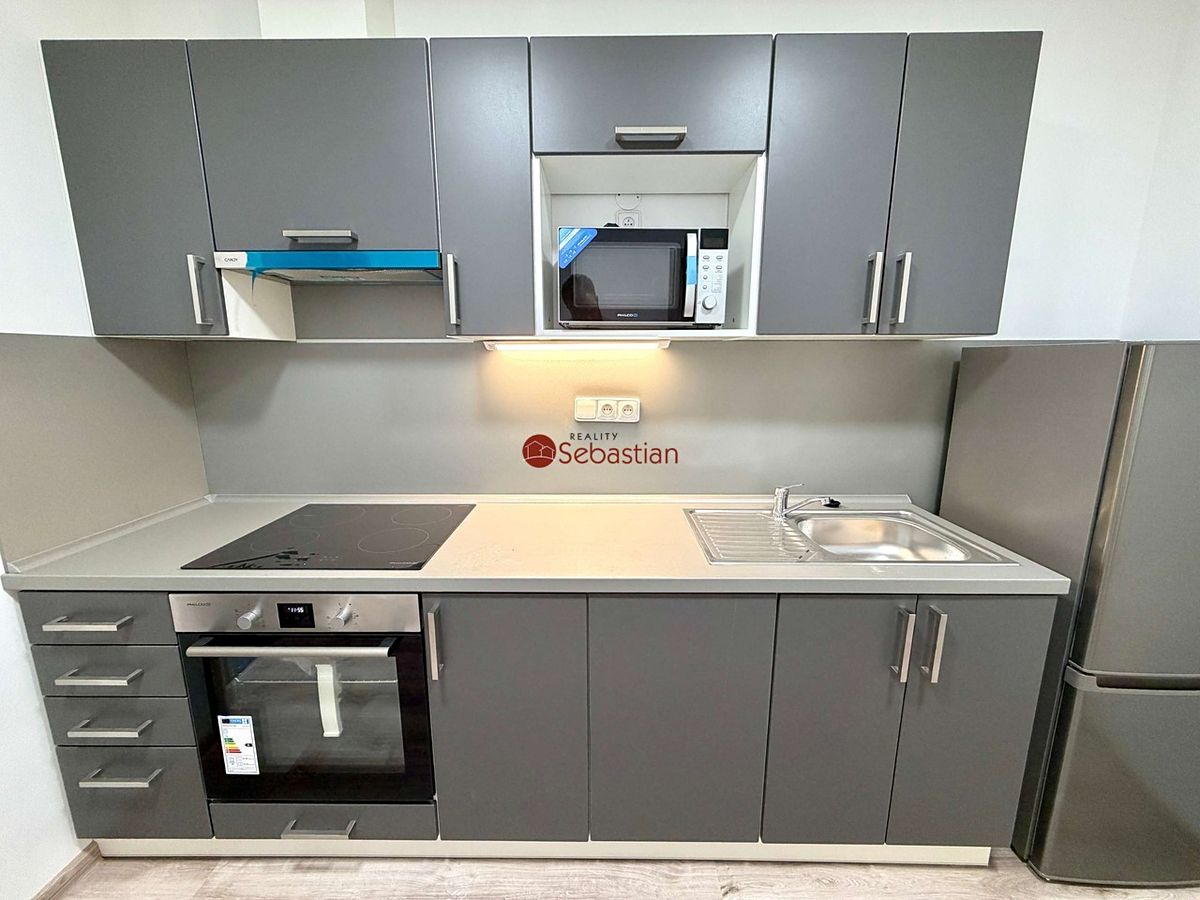 Pronájem bytu 1+1 64 m² – fotografie 3