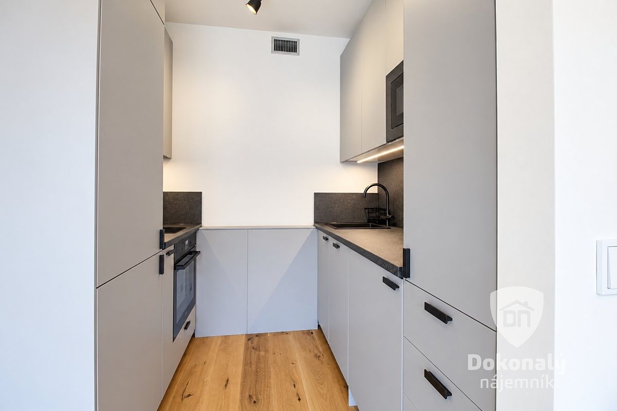 Pronájem bytu 1+kk 36 m² – fotografie 2
