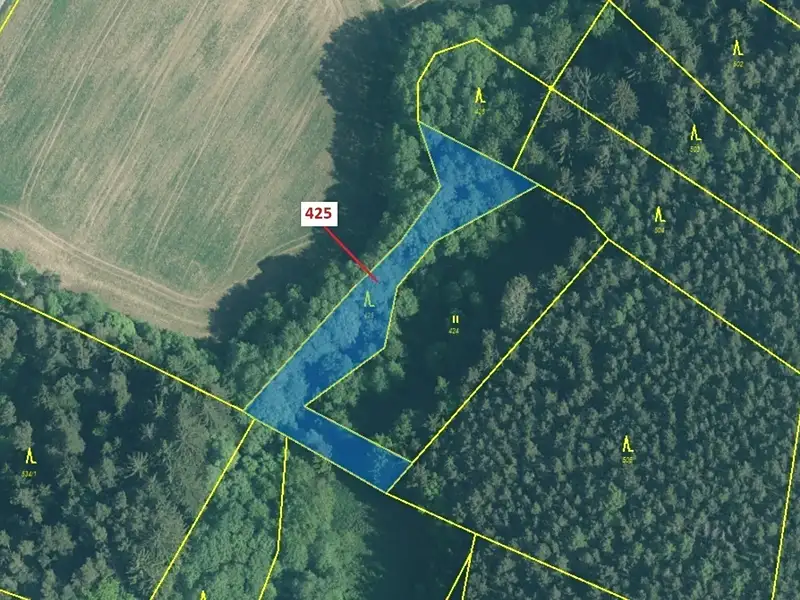 Dražba lesa 1719 m², Kuřimany – náhled fotky 2