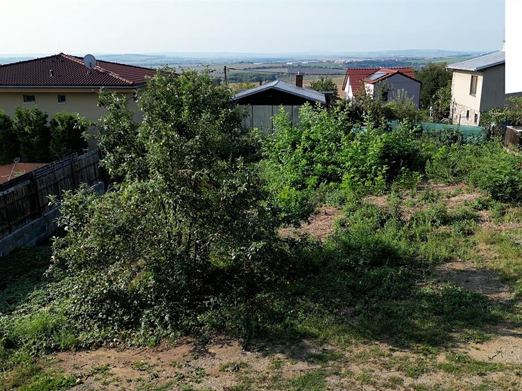 Ostatní