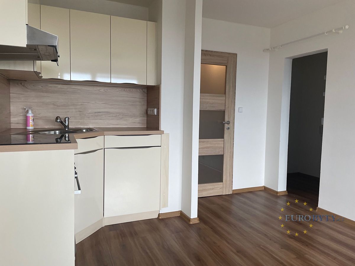 Pronájem bytu 1+kk 31 m² – fotografie 5