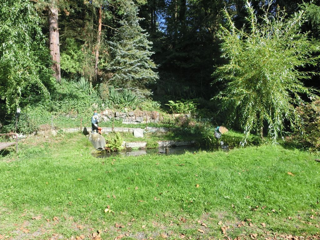 Prodej rodinného domu 175 m², pozemek 9863 m² – fotografie 5