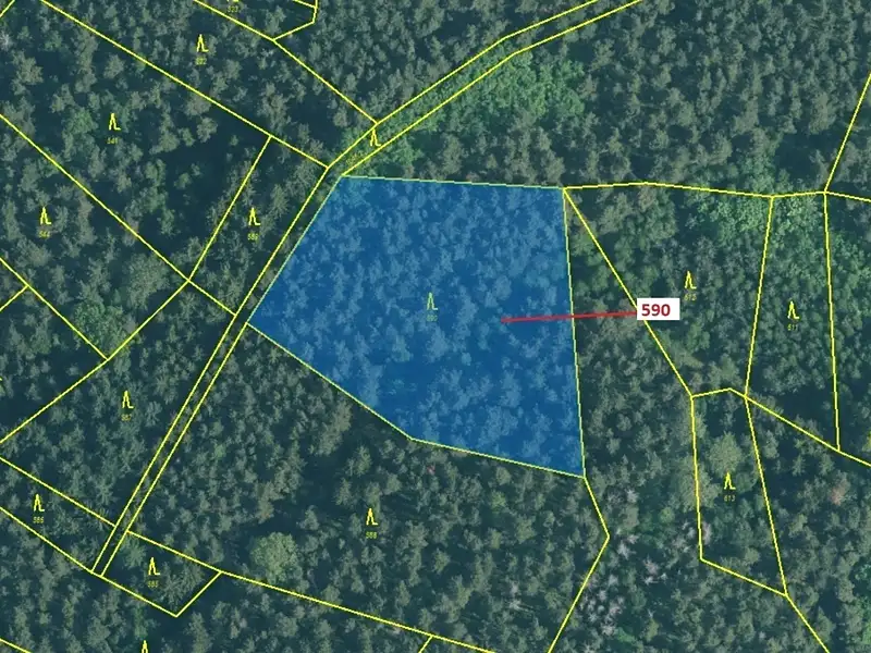 Dražba lesa 4807 m², Kuřimany – náhled fotky 2
