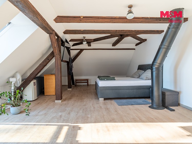 Prodej domu, 429 m² (19 z 30)