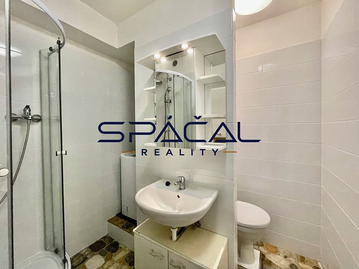 Pronájem bytu 1+1 35 m² – fotografie 4