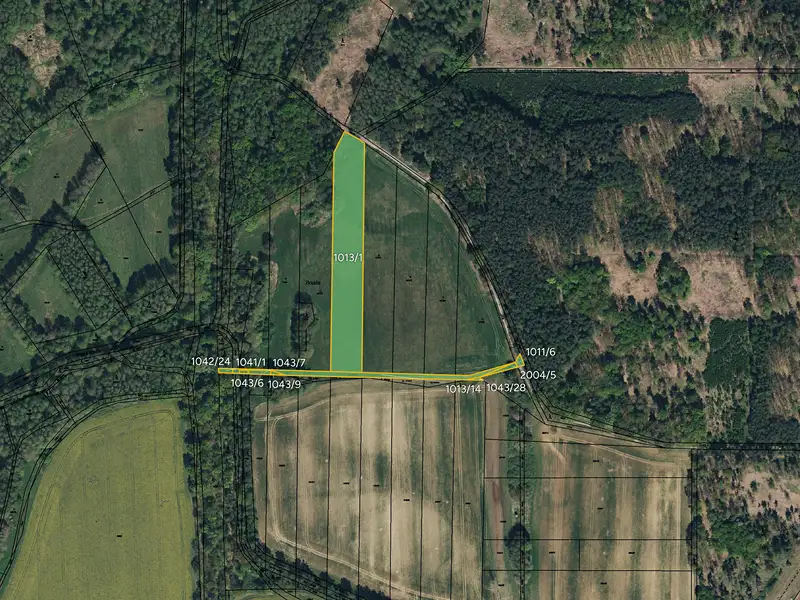 Prodej louky 10075 m², Lázně Bohdaneč – náhled fotky 2