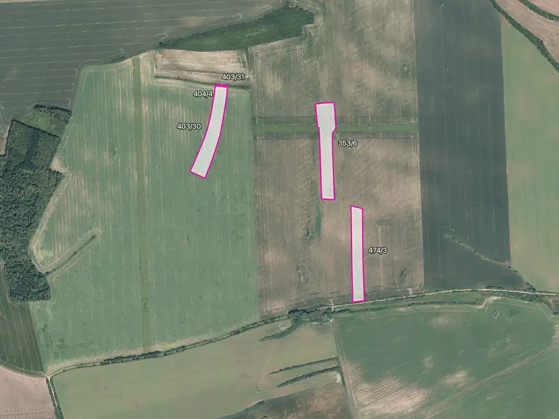 Prodej pole 39127 m², Klučov – náhled fotky 1