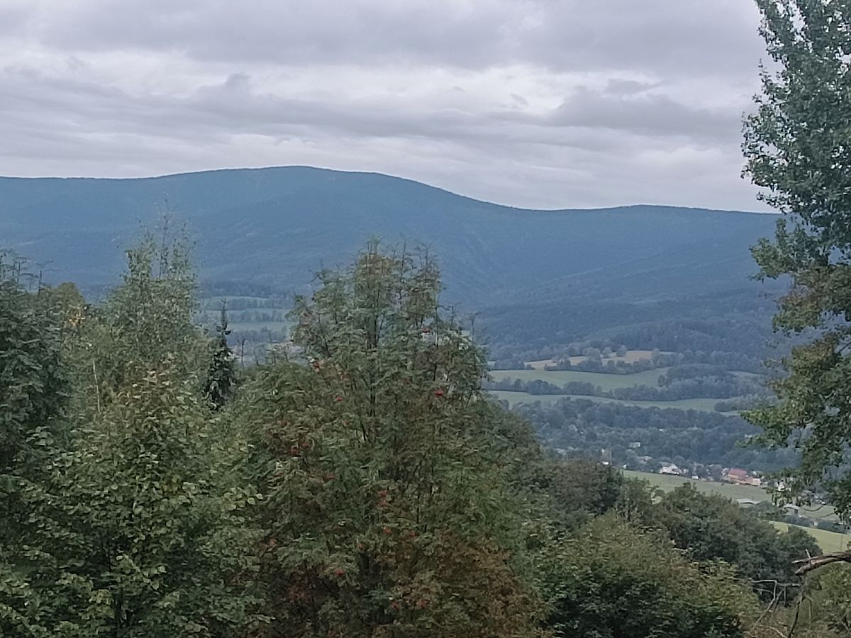 Prodej stavebního pozemku 8800 m² – fotografie 2