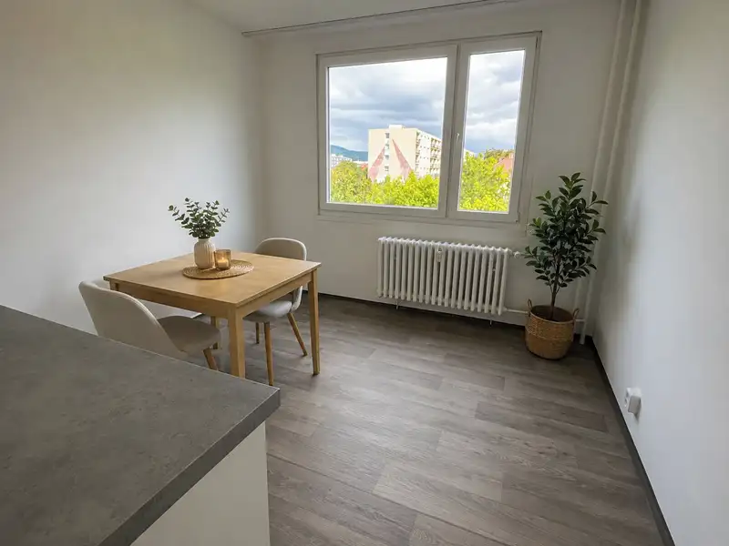 Pronájem bytu 1+1 40 m², Litvínov – náhled fotky 3