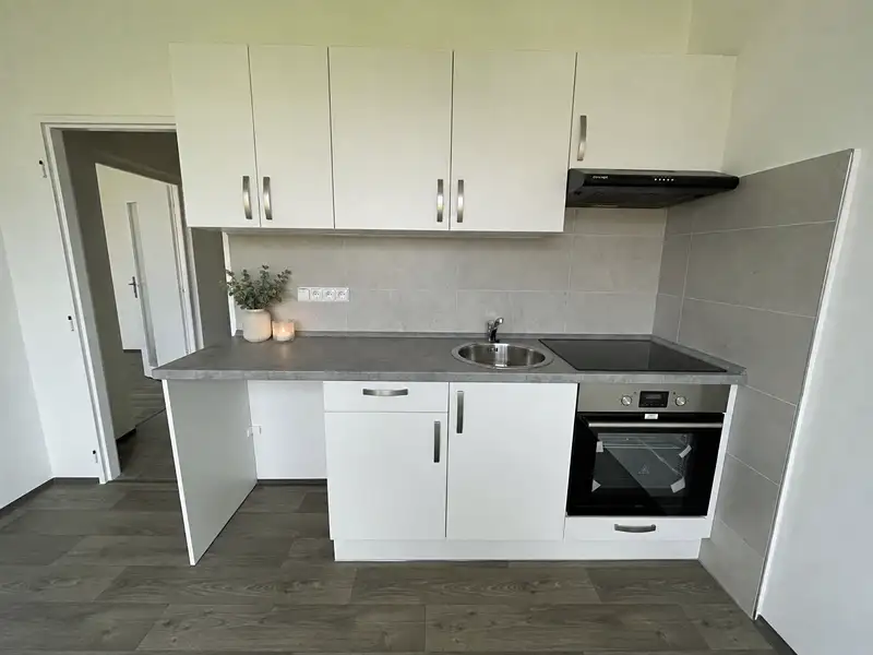 Pronájem bytu 1+1 40 m², Litvínov – náhled fotky 2