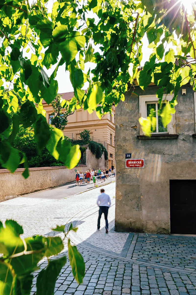 Fotka 19 z 30
