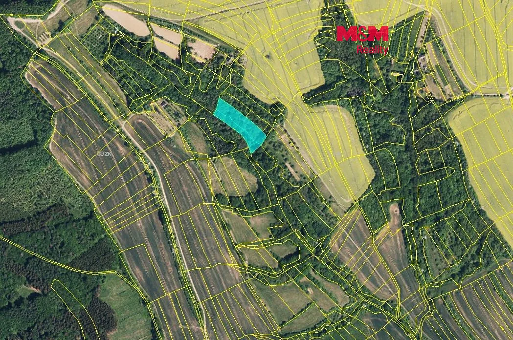 Prodej lesa 5007 m²