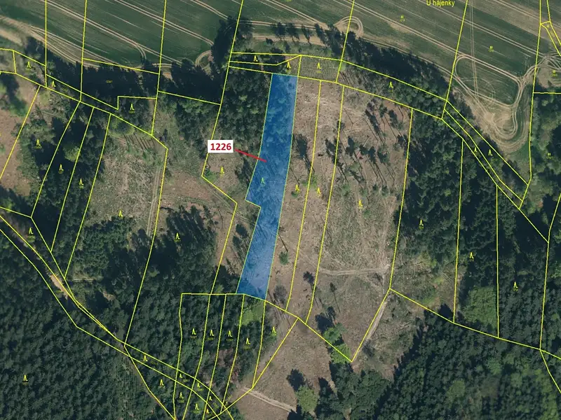 Dražba lesa 3593 m², Vilice – náhled fotky 2