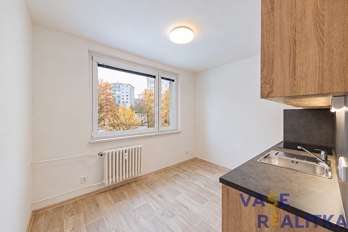 Pronájem bytu 1+1 37 m² – fotografie 3