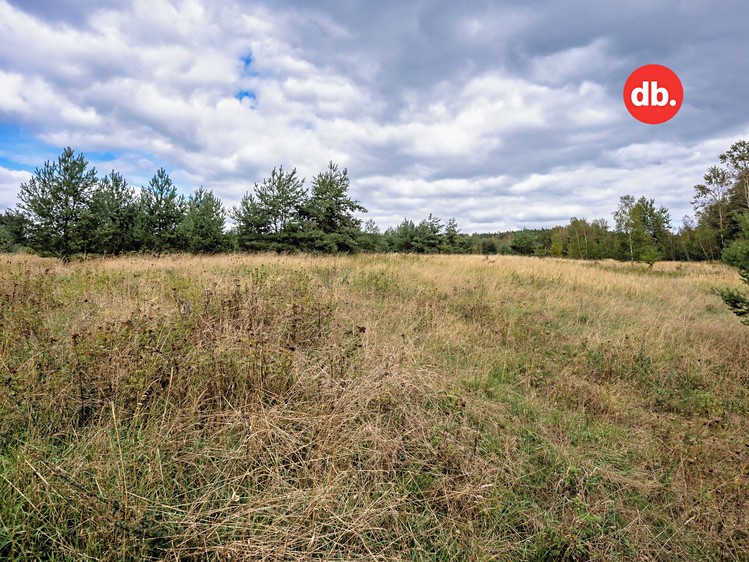 Grundstück zum Kauf, 3.921 m² (11 von 15)