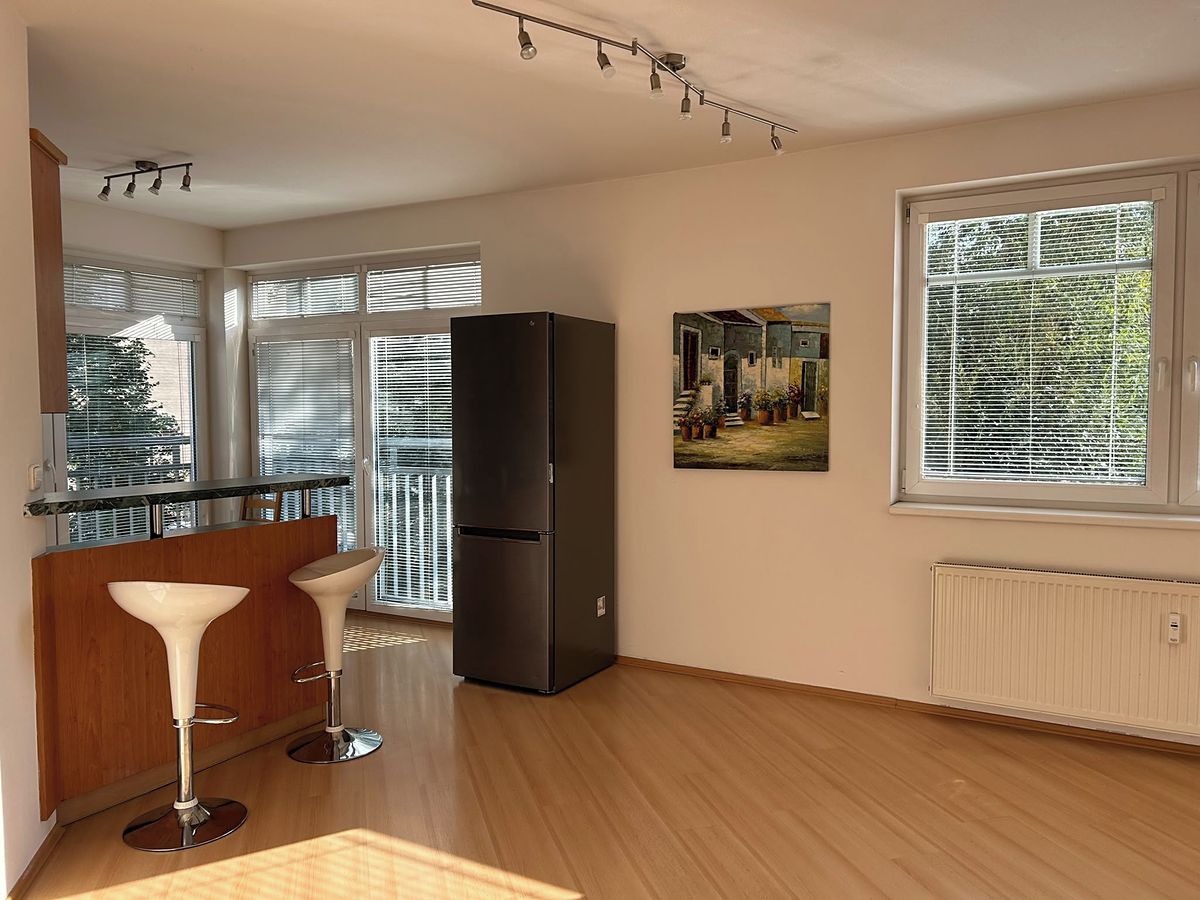 Pronájem bytu 4+kk 110 m² – fotografie 5