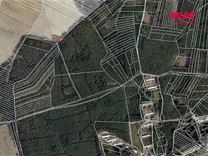 Prodej lesa 212 m², Skoronice – náhled fotky 3