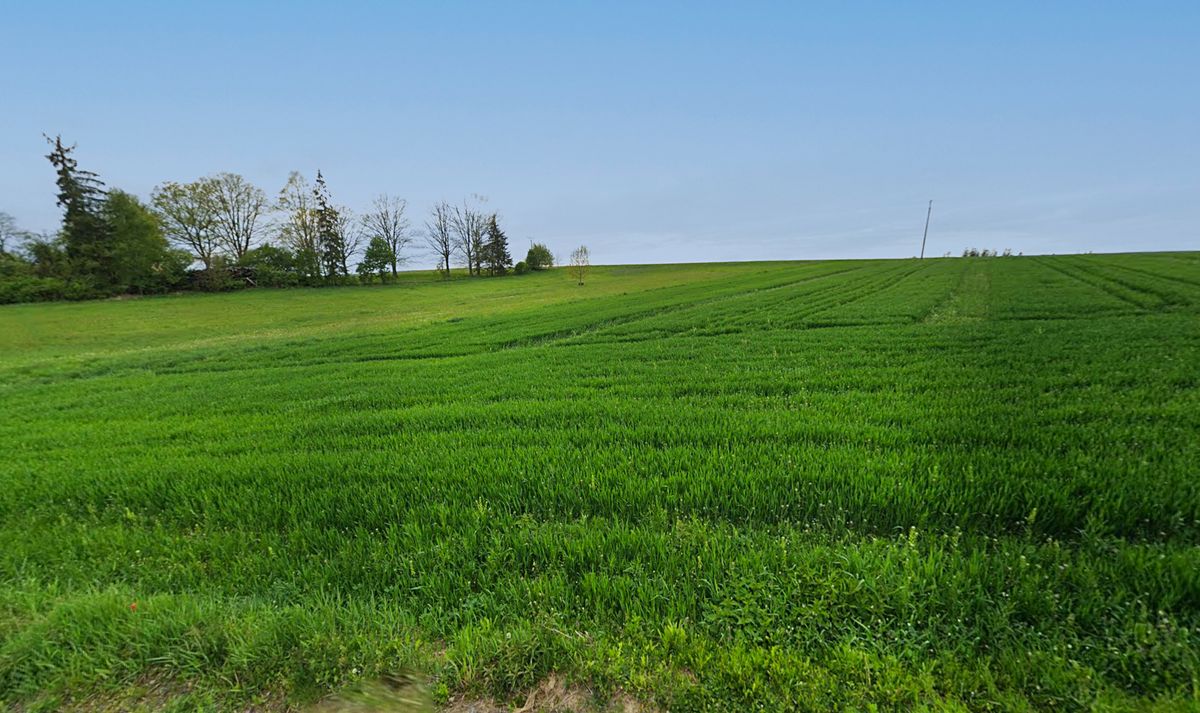 Prodej komerčního pozemku 10581 m²