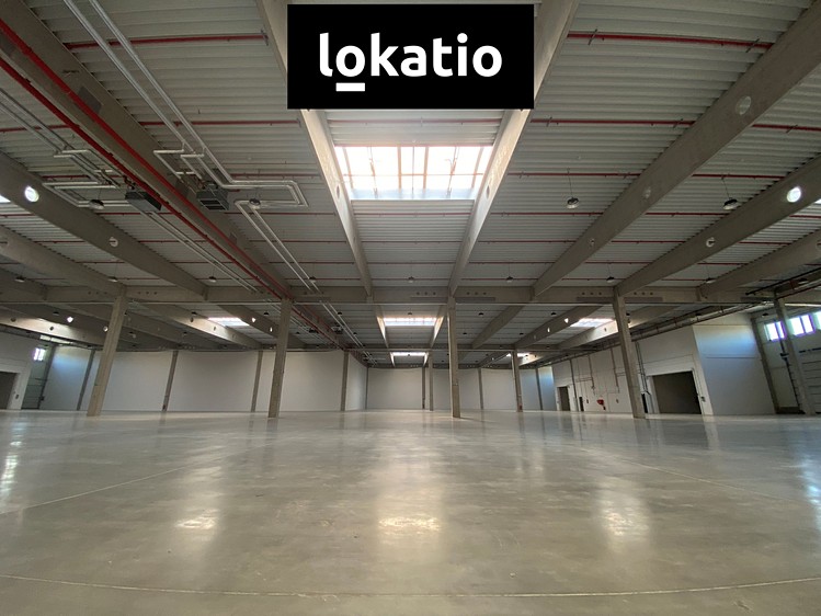Ostatní