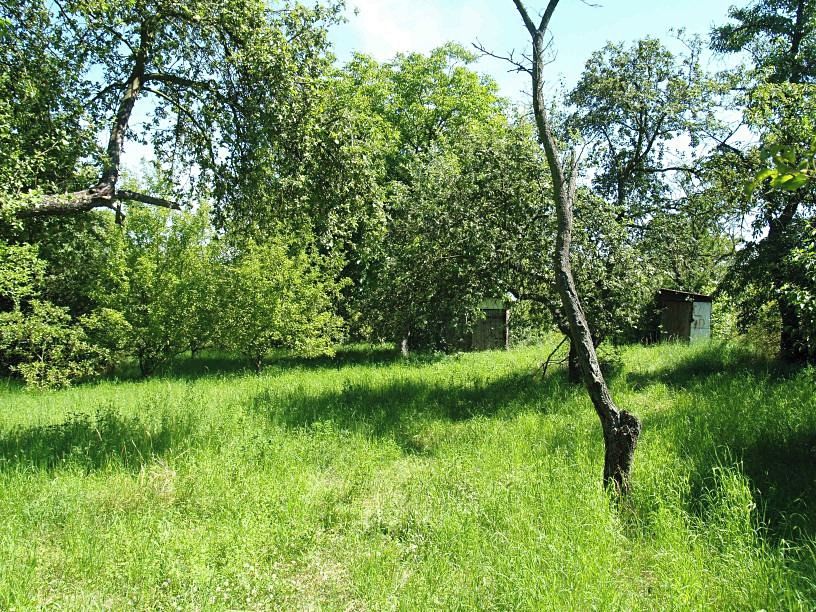 Prodej stavebního pozemku 1635 m² – fotografie 2