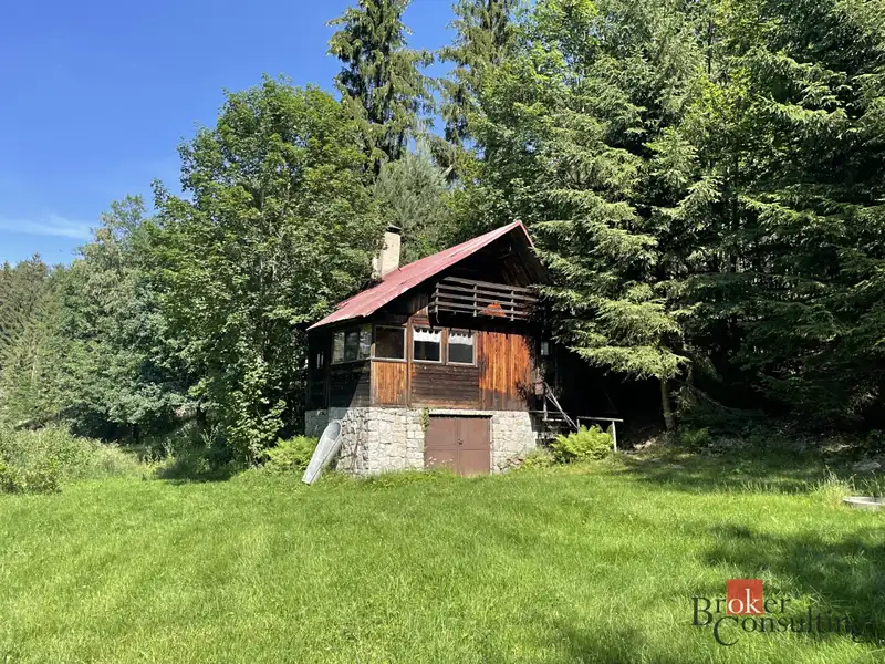 Prodej chaty 74 m², pozemek 48 m², Soběnov – náhled fotky 1