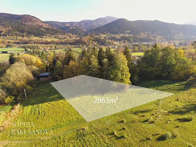 Prodej stavebního pozemku 2963 m², Ostravice – náhled fotky 1