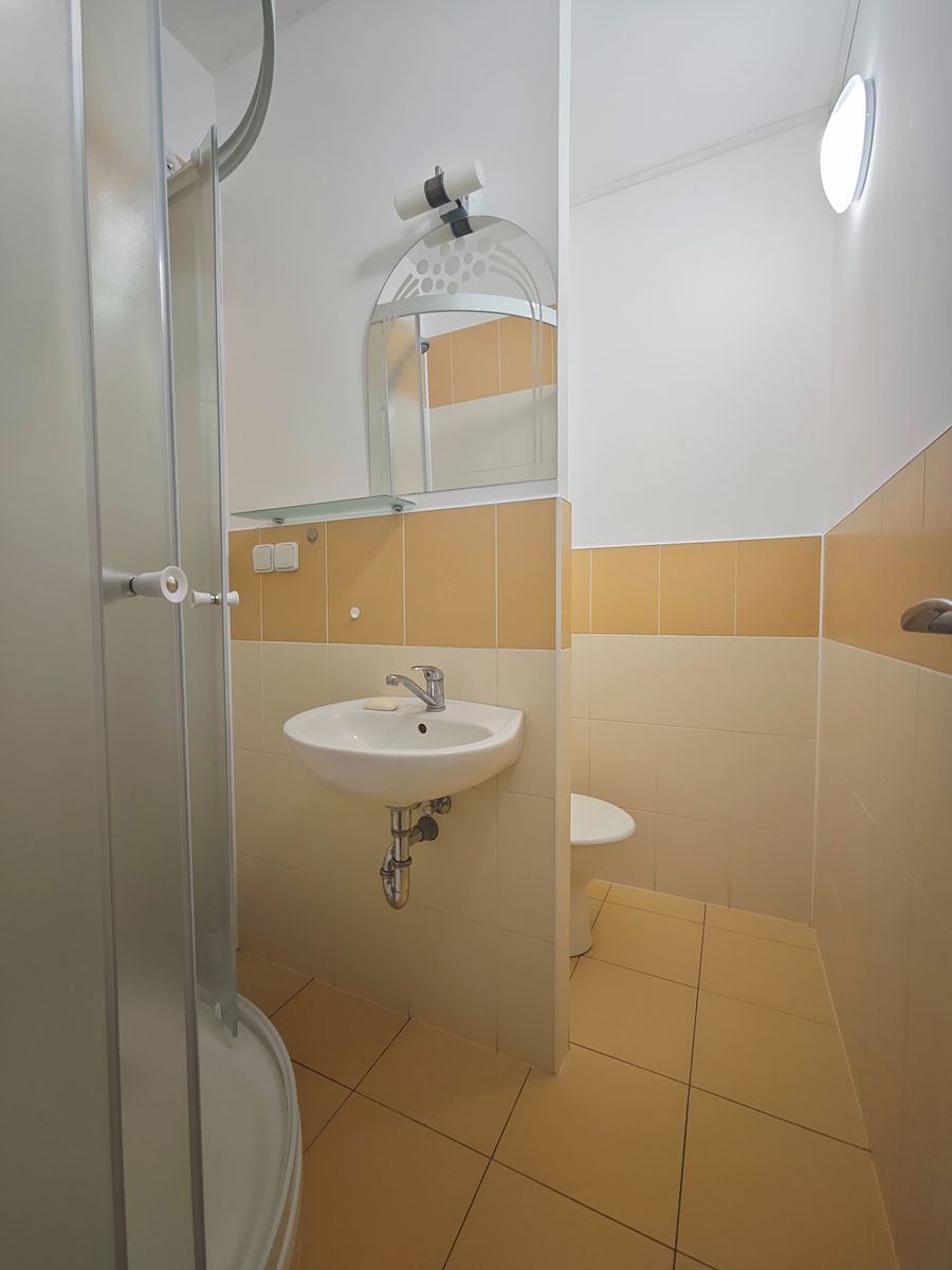 Pronájem bytu 1+1 32 m² – fotografie 4