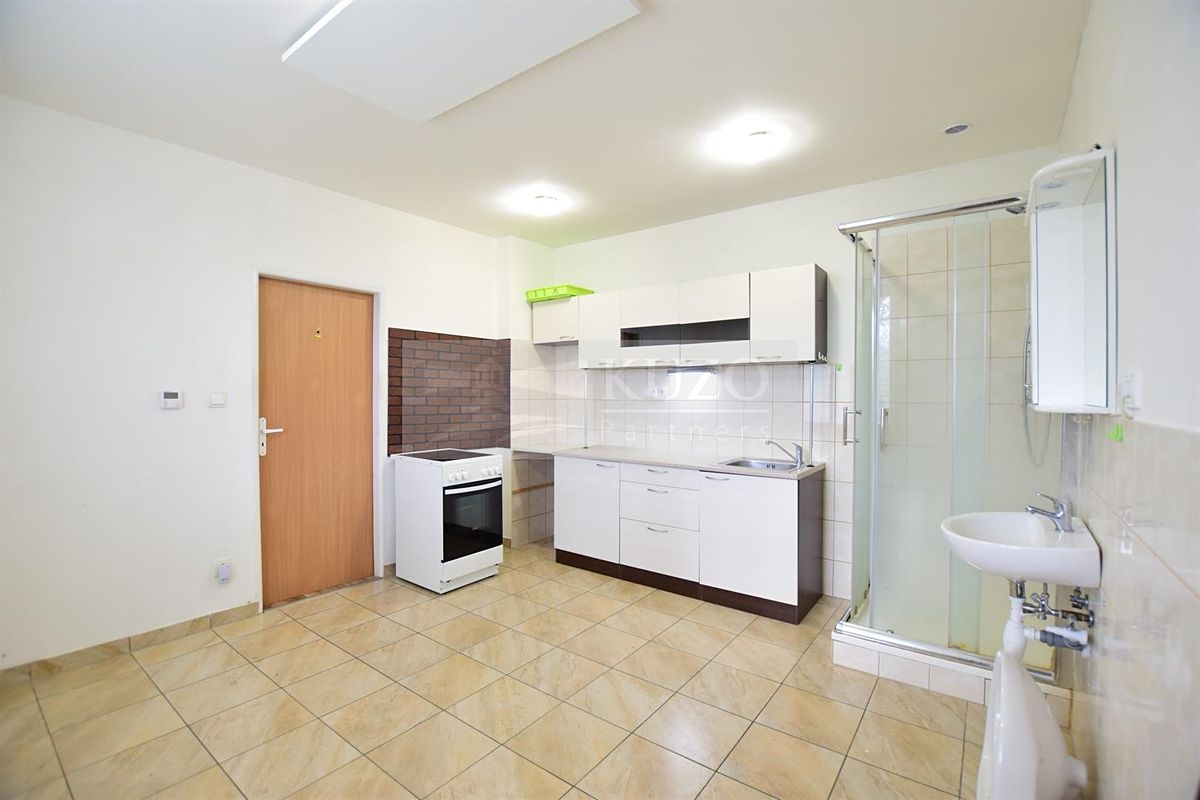 Pronájem bytu 1+1 37 m² – fotografie 2