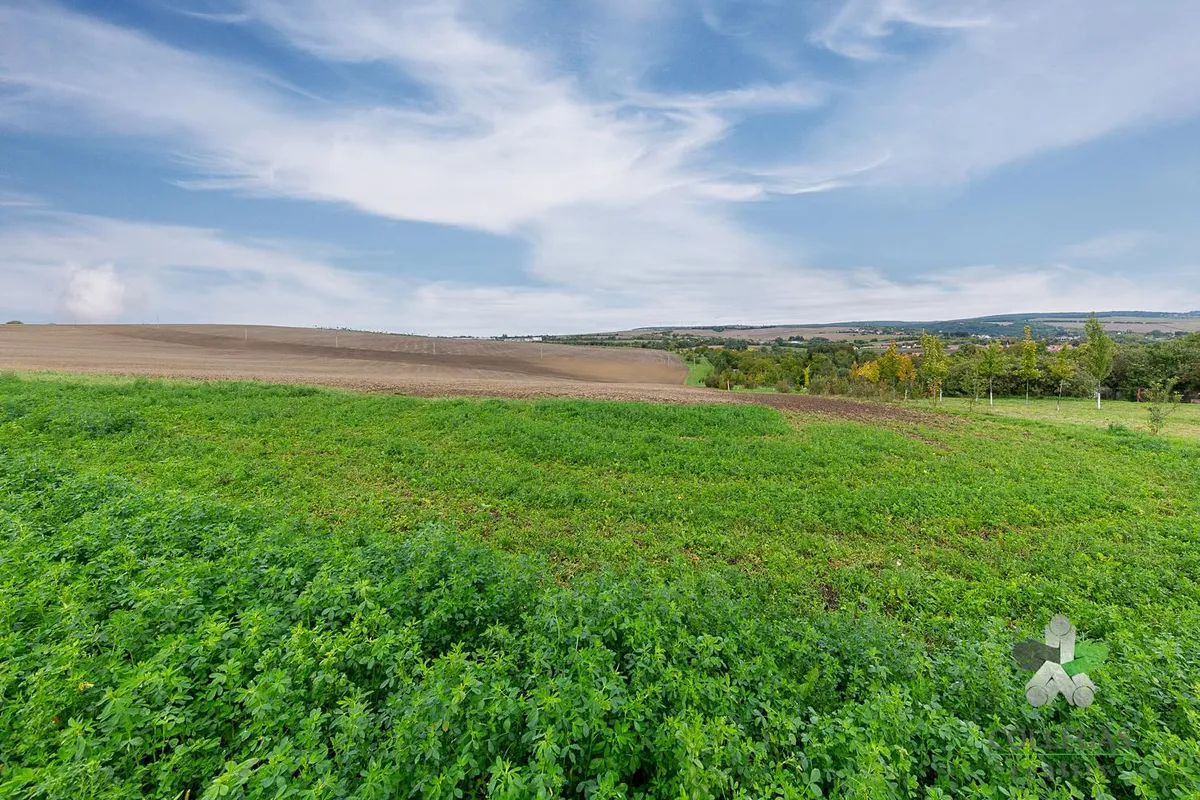 Prodej pole 1754 m²