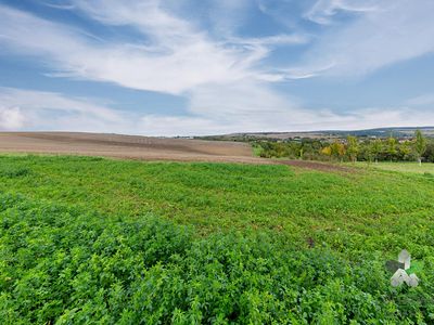 Prodej pole 1754 m²