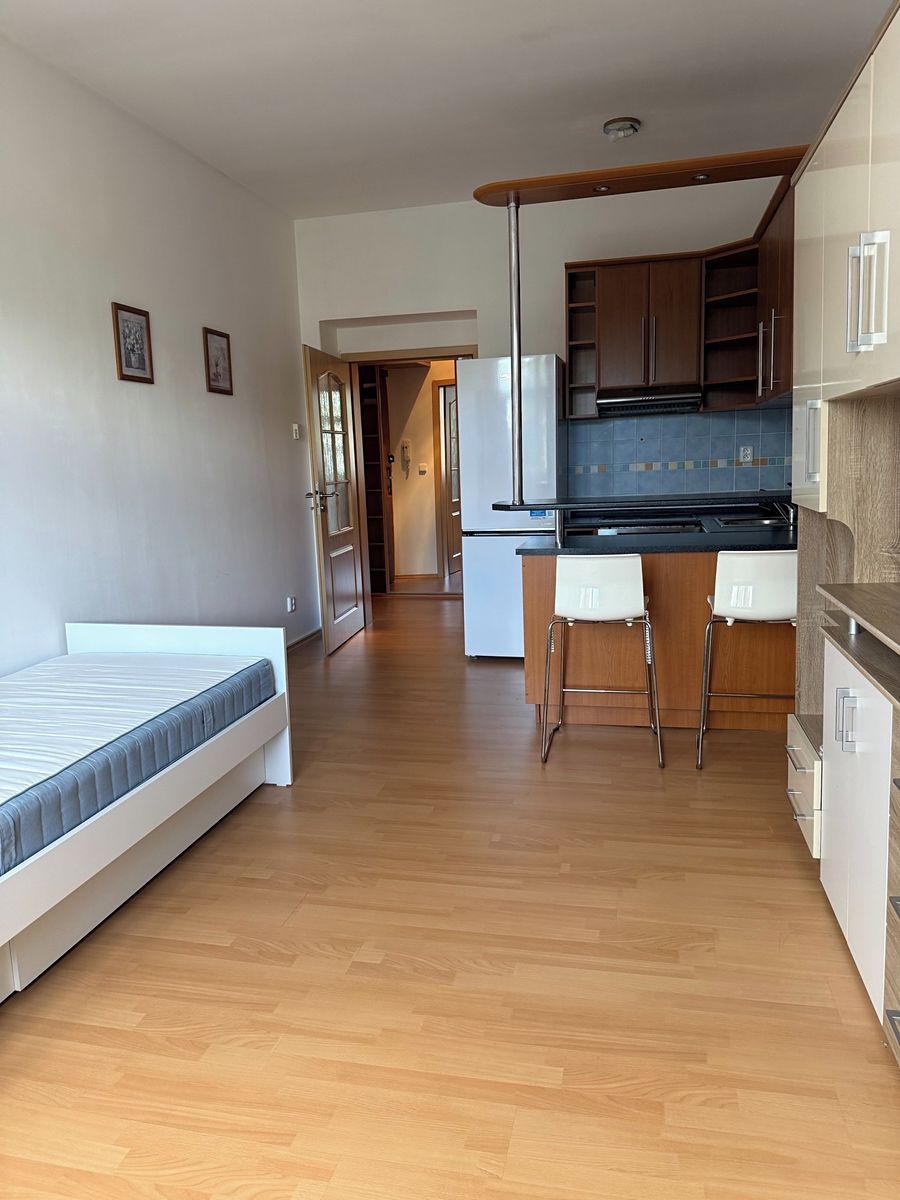 Pronájem bytu 1+kk 29 m² – fotografie 2