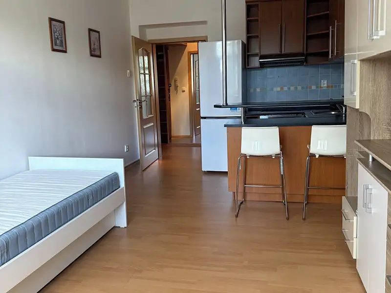 Pronájem bytu 1+kk 29 m², Praha – náhled fotky 2