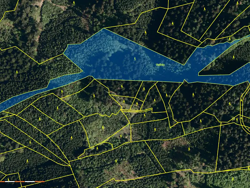 Prodej lesa 38810 m², Valašská Polanka – náhled fotky 2