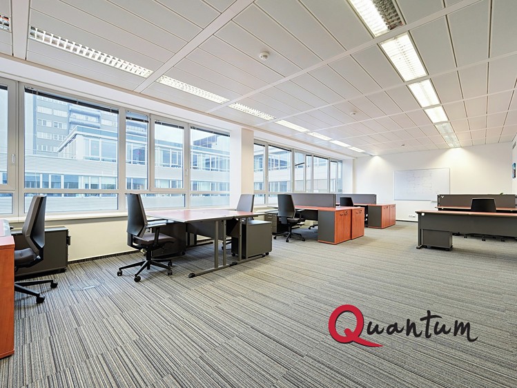 Комерційне приміщення в оренду, 503 м² (6 з 31)